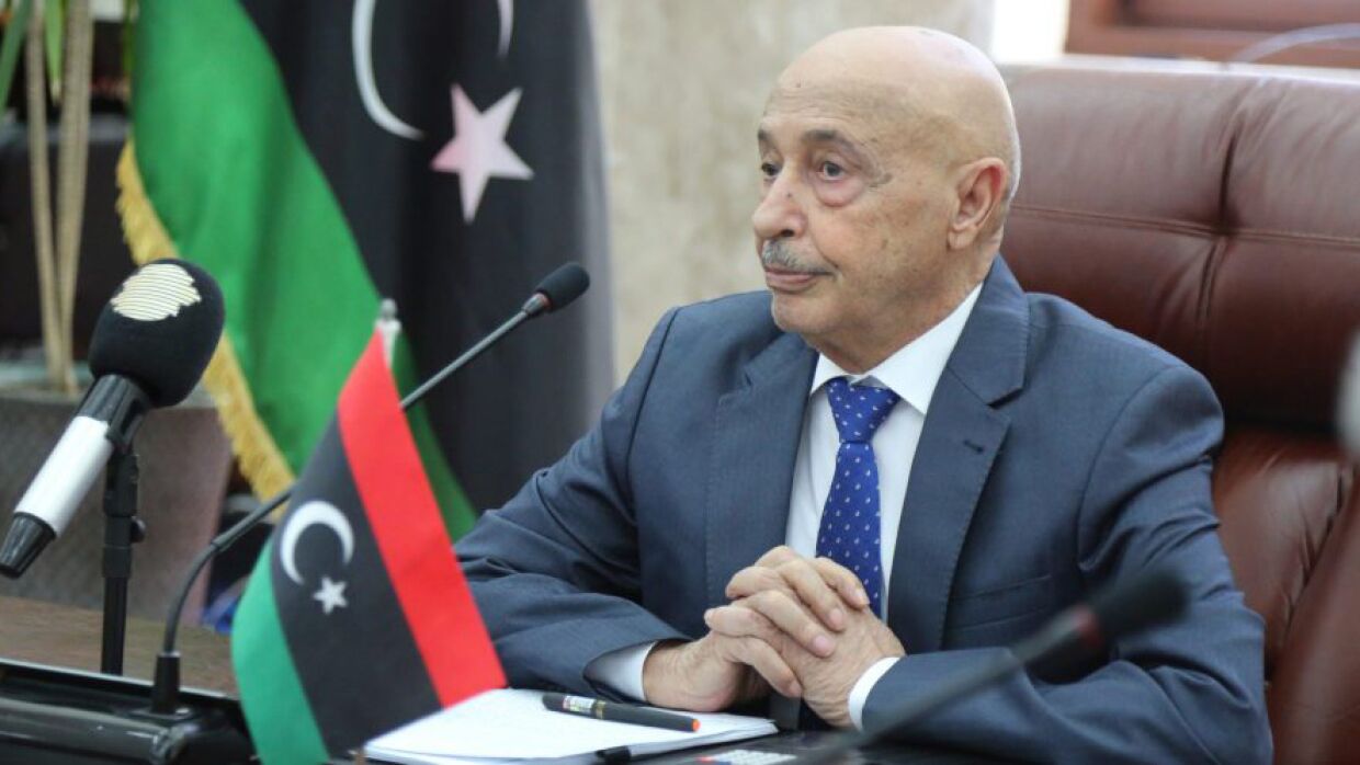 Президент Египта надеется на процветание Ливии после призывов к перемирию