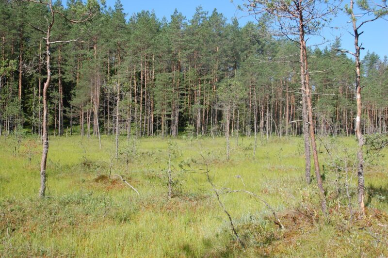 В Тверской области утверждены границы восьми особо охраняемых природных территорий