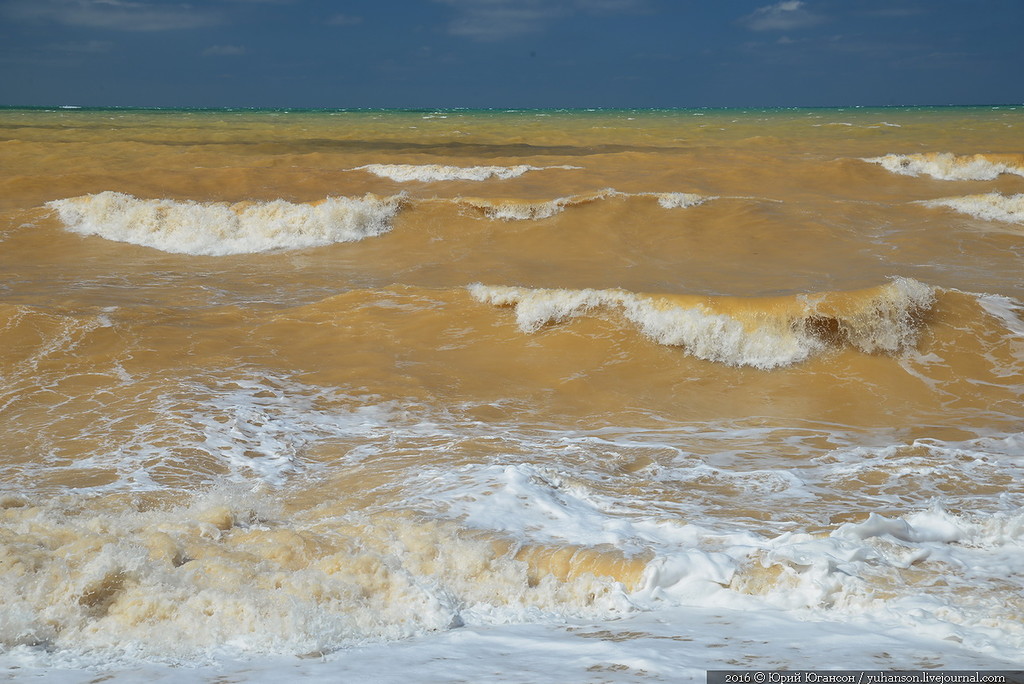 Почему желтое море назвали желтым. Акватория желтого моря. Черное море желтое. Побережье жёлтое море. Желтое море море.