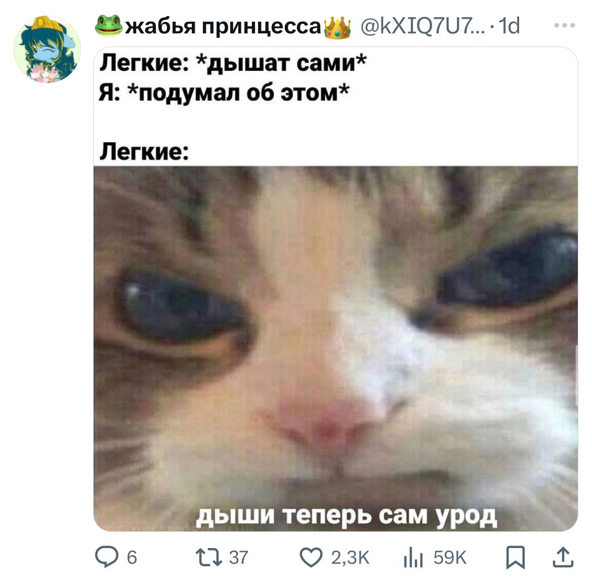 Юмор за день и старые друзья 