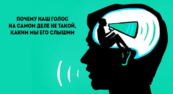 Почему наш голос на самом деле не такой, каким мы его слышим?