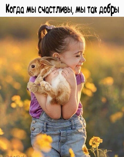 Первым, что бросилось Сереге в глаза, был кот. И последним демотиваторы,животные,позитив,Смешные животные,юмор