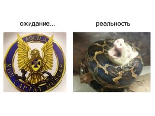 Над пропастью во… лжи…