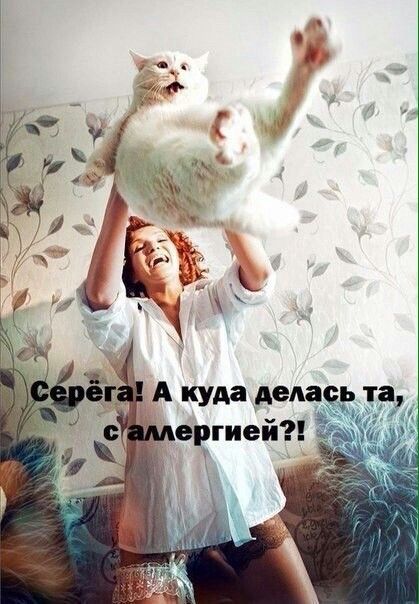 Смешивать людей с грязью позволительно лишь врачам-бальнеологам Смешивать людей с грязью позволительно лишь врачам-бальнеологам анекдоты
