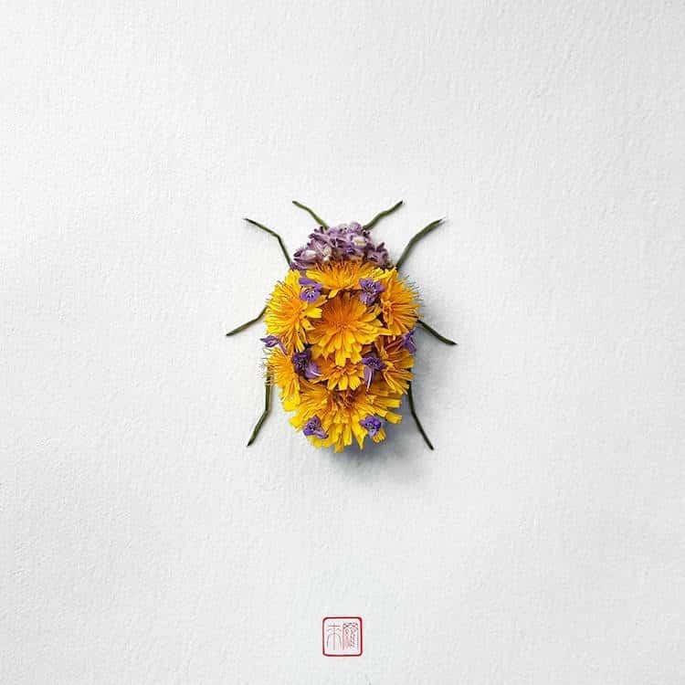 Цветочные насекомые от канадского художника 