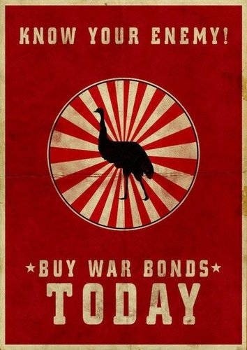 Война против страусов: самое обидное поражение в истории Австралия,история,страусы