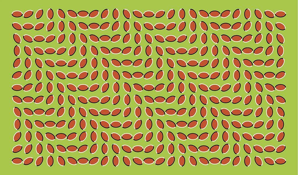 Не верьте своим глазам! 10 картинок, которые обманывают ваш мозг иллюзии, оптические иллюзии