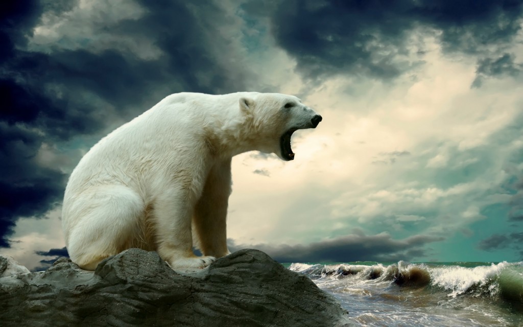 10. В Антарктиде не водятся белые медведи. антарктида, факты