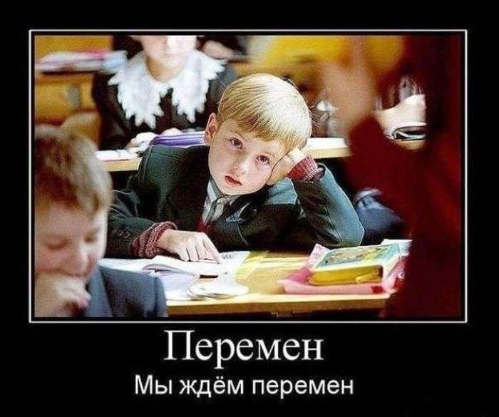 Пьяный мужик подобрал кота и приходит домой. Открывает жена... Пьяный мужик подобрал кота и приходит домой. Открывает жена... Весёлые,прикольные и забавные фотки и картинки,А так же анекдоты и приятное общение