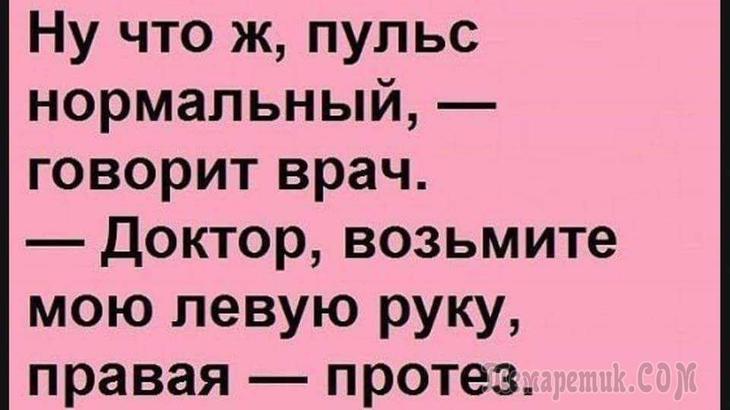 Я до того расцвела, что все мысли теперь об опылении... какой, Счастье, обескураженыПреподаватель, прогноз, продолжительности, твоей, жизниКогда, девушка, начала, сдавать, задом, игроки, покер, философии, более, Сидоров, принимает, таким, естьКак, поступит