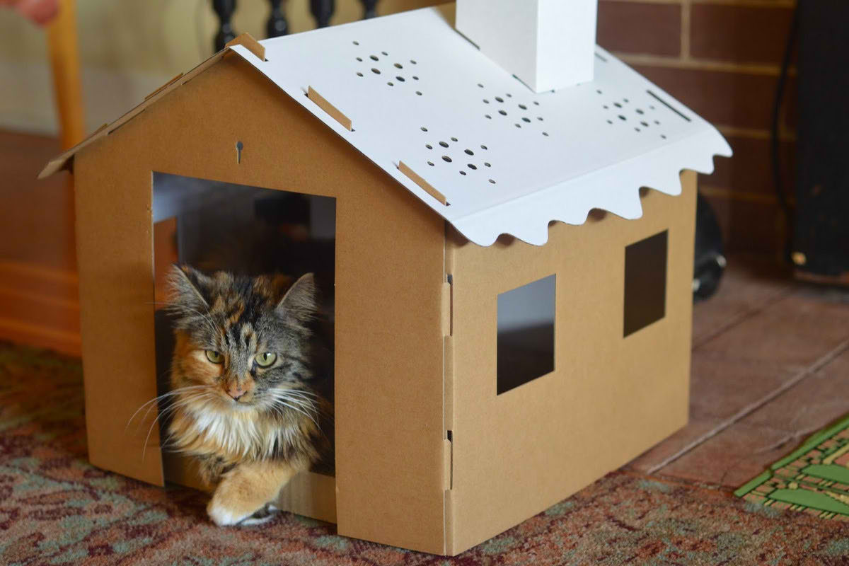 Самый большой приют для кошек и собак