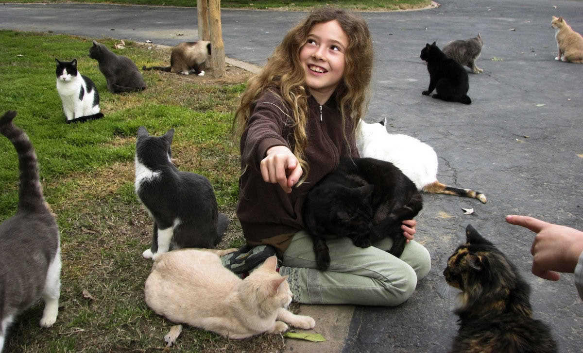 Самый большой приют для кошек и собак