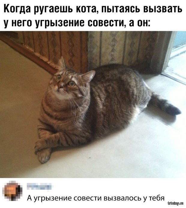 Юмор и шутки от пользователей социальных сетей Юмор и шутки от пользователей социальных сетей смешные картинки