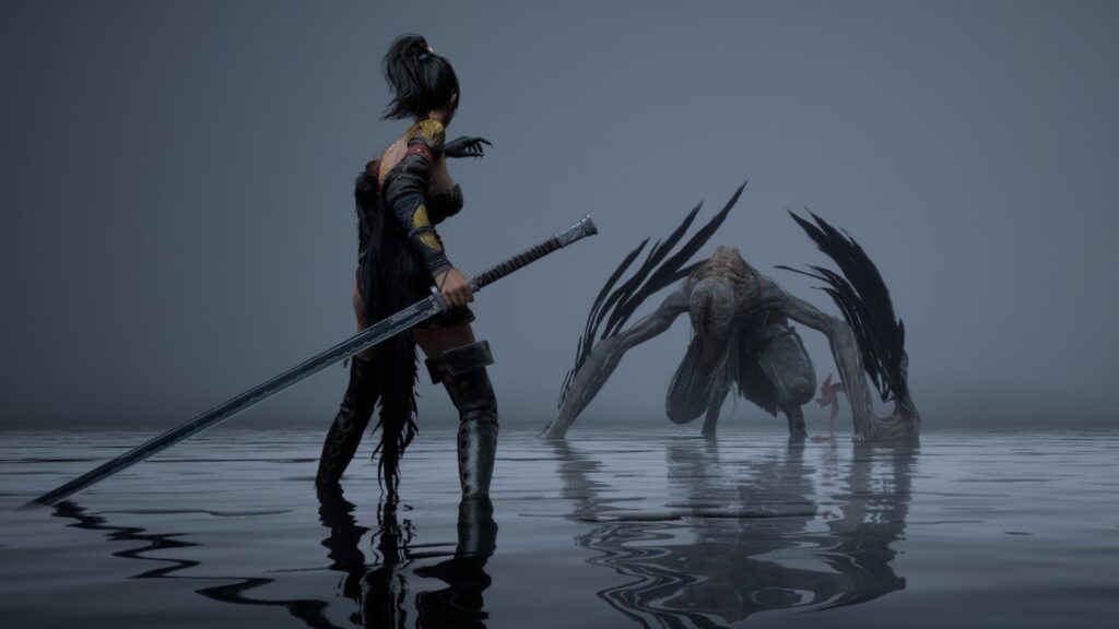 Fallen Feathers