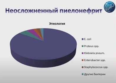 Инфекции мочевых путей. Бессимптомная бактериурия, неосложнённые цистит и пиелонефрит болезни,здоровье,медицина,пиелонефрит,уретрит,уролог,урология,цистит