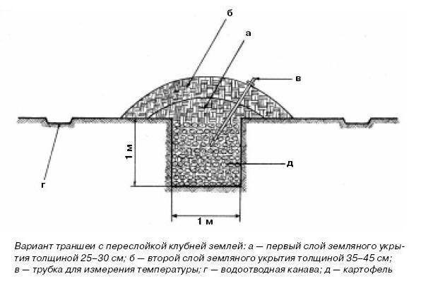 Траншейный способ хранения картофеля, фото с сайта e-reading.me