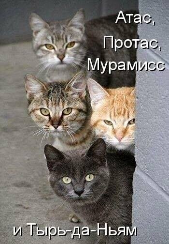 Юмор из интернета 703 позитив,смех,улыбки,юмор