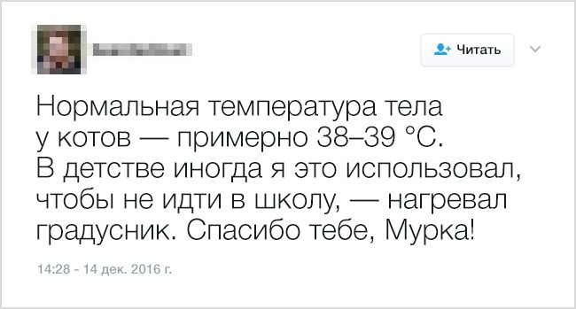 Как дела у твоей жены с вождением машины? анекдоты,веселье,демотиваторы,приколы,смех,юмор