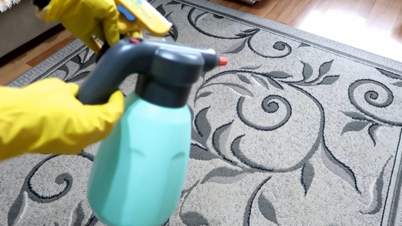 Как легко избавить ковры от шерсти питомца в доме интерьер,рукоделие,своими руками,сделай сам