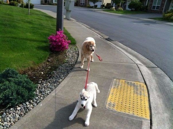 Классные и яркие картинки с фотографиями из сети Классные и яркие картинки с фотографиями из сети