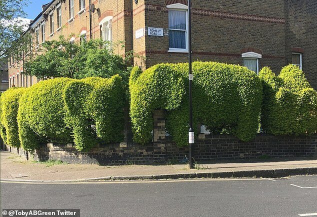 Самые необычные ограды в мире Самые необычные ограды в мире заборы,ландшафтный дизайн,необычное,ограды