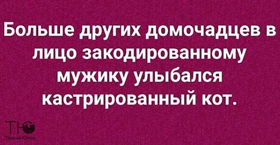 Поклонники Казимира Малевича довольно часто смотрят телевизор не включая анекдоты,веселые картинки,приколы,юмор