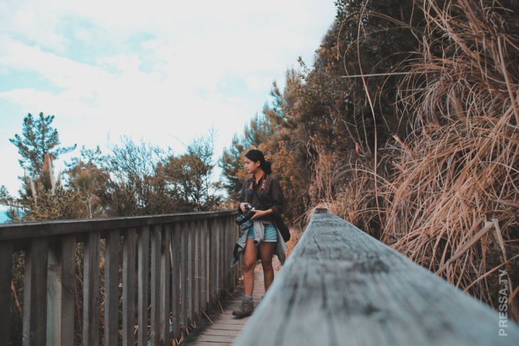 Волшебная земля Коромандель. Я мог бы жить здесь вечно Волшебная земля Коромандель. Я мог бы жить здесь вечно воспоминания, новая зеландия, путешествия