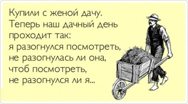 И еще анекдоты на туже дачную тему: дача, прикол, юмор