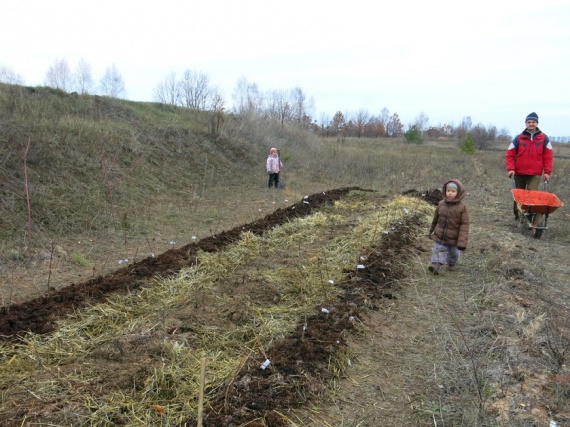 теплая грядка Розума 2: Органическое земледелие, пермакультура