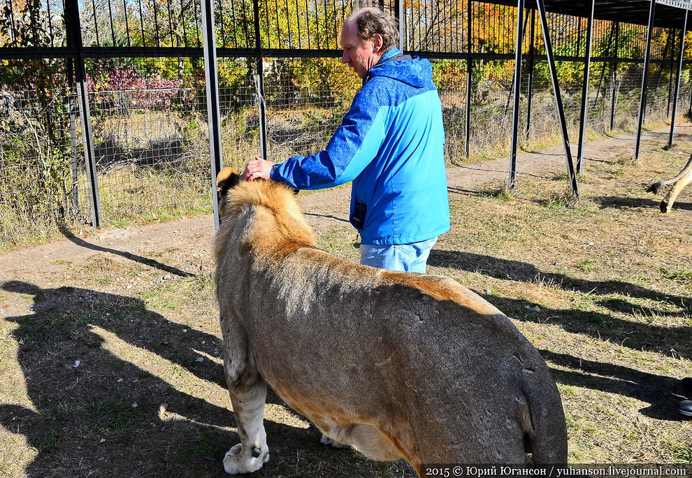 Сафари-парк Тайган в Крыму