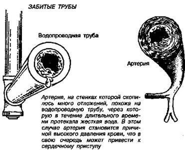 Шпоры и образования в суставах: тест Брэгга на заизвесткованность неорганическими, очень, кислот, можно, которых, минералы, стопы, чтобы, только, токсичных, время, многие, кровообращения, этого, когда, неорганических, болезней, минералами, минералов, кристаллы