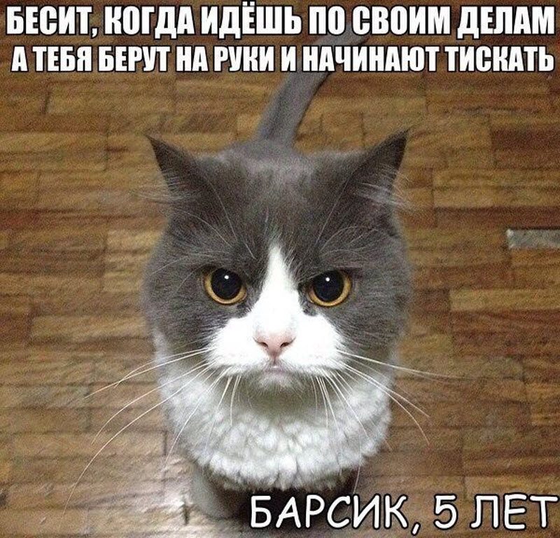 Судьба разбросала нас по разным кроватям.. анекдоты,веселье,демотиваторы,приколы,смех,юмор