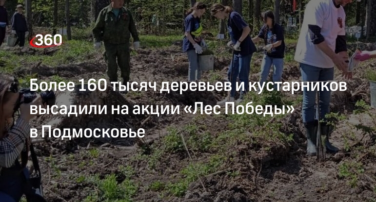 Более 160 тысяч деревьев и кустарников высадили на акции «Лес Победы» в Подмосковье