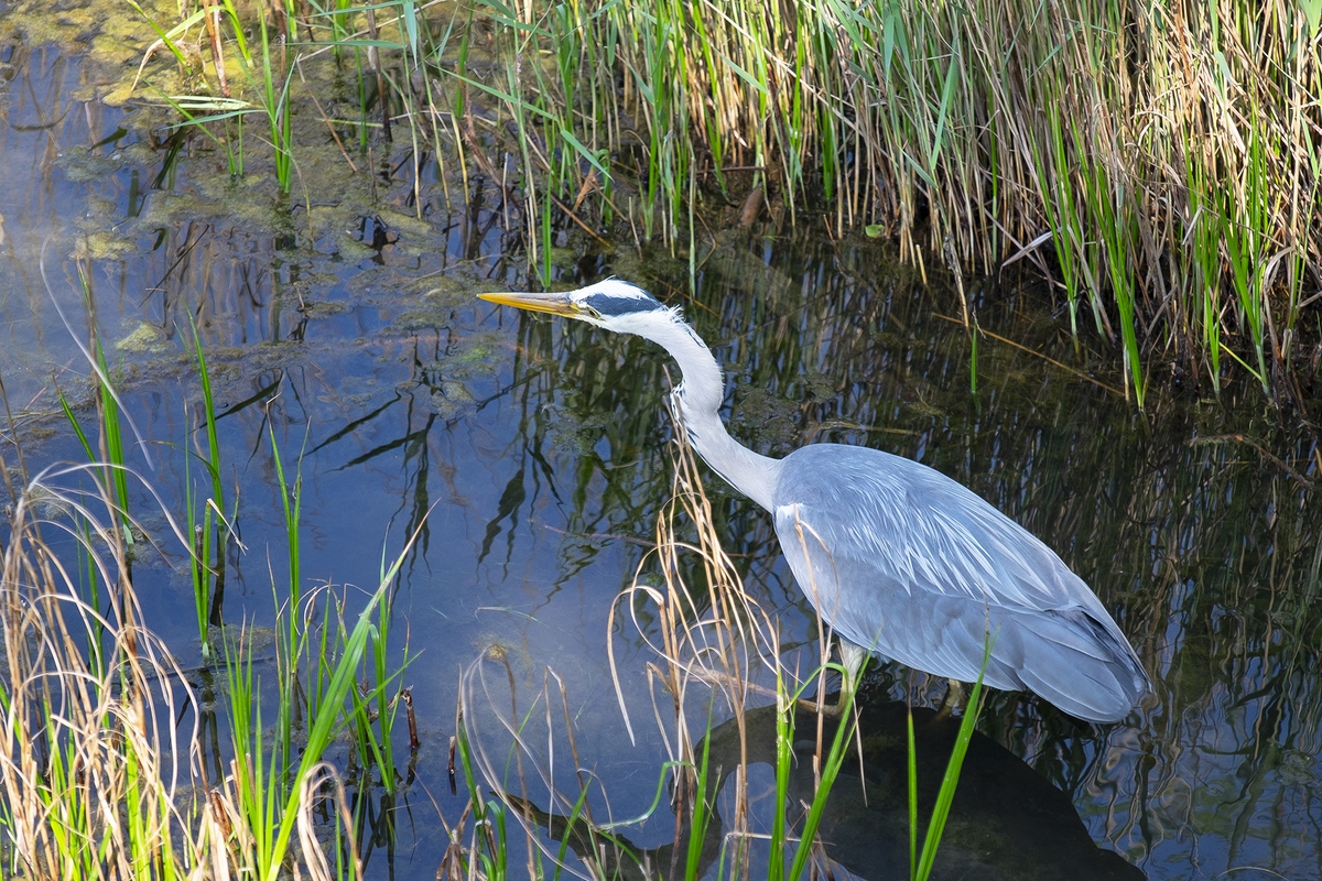 Шпионские фото из непризнанной страны Западной Европы 