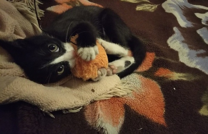 17 снимков, которые раскрасят даже самый хмурый день! 17 снимков, которые раскрасят даже самый хмурый день!