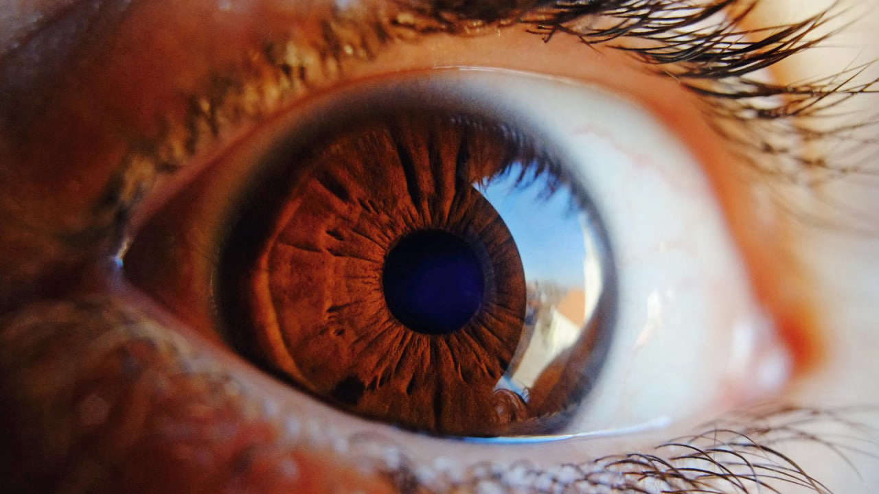Российские ученые начнут прогнозировать сердечные патологии по глазам