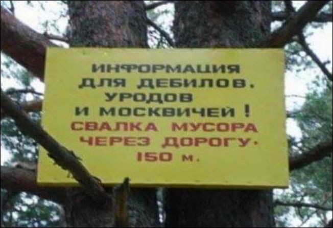 Методика остановки коня на скаку Методика остановки коня на скаку