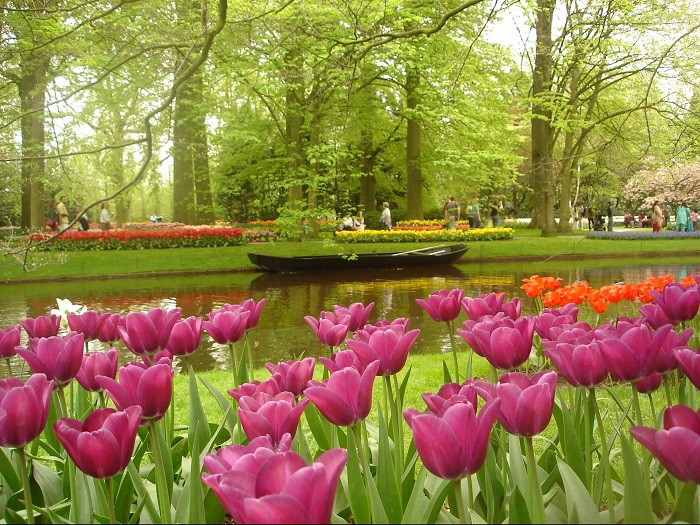 Самый большой цветник в мире, известен как Сад Европы.