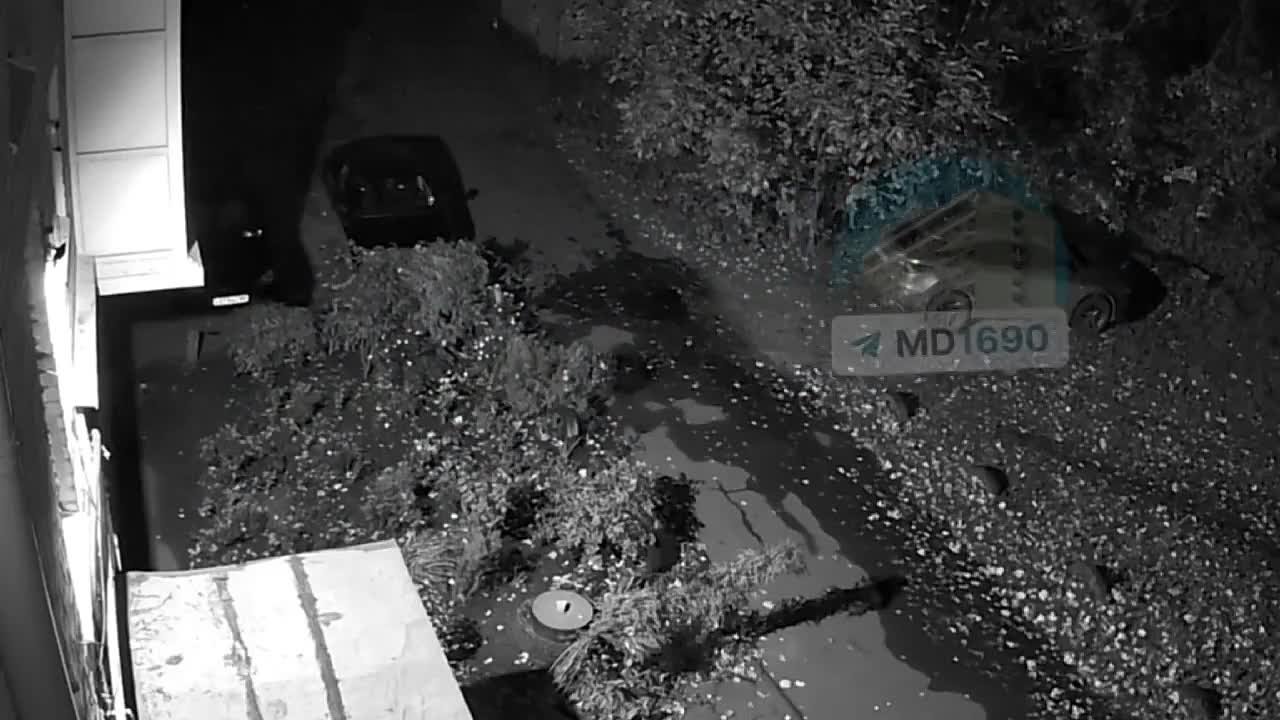 Video: Видео от Донецкая группа новостей|Донецк.ДНР