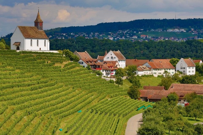 Деревню Рейнау (Rheinau) инициаторы пилотной программы считают «Швейцарией в миниатюре».