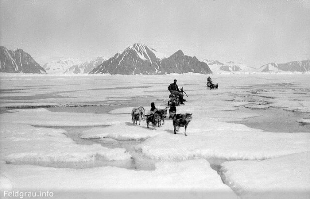 Невероятная история Петера Фрейхена Невероятная история Петера Фрейхена