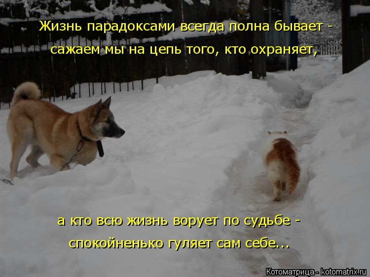 Че не здороваешься картинки