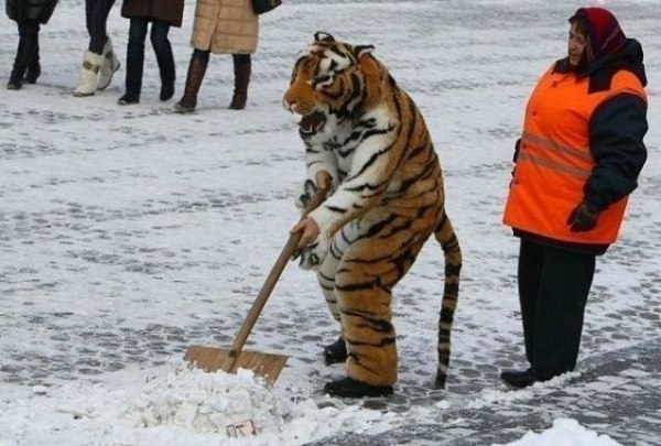 Meanwhile in Russia люди, россия