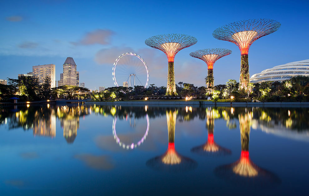 Gardens by the Bay: футуристические прибрежные сады в Сигнапуре