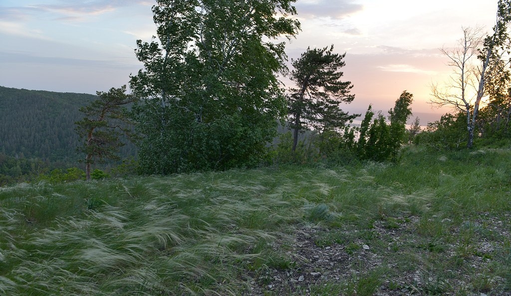 Самарская Лука