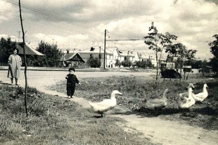 Бесстрашный мальчик. Бесстрашный мальчик.