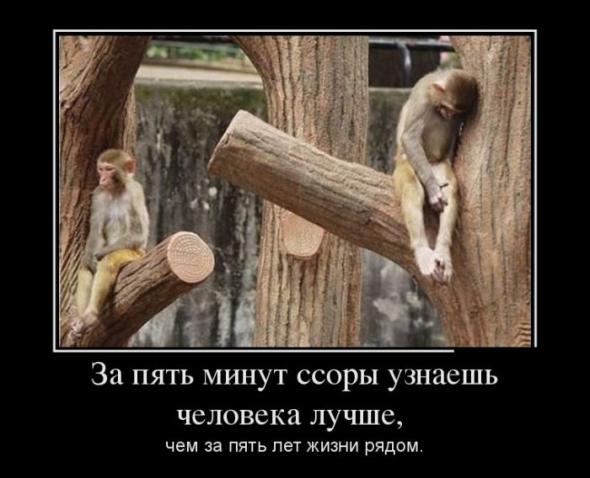 russkie-zvezdi-kartinki-prikoli-s-devushkami-dengi-seks-super