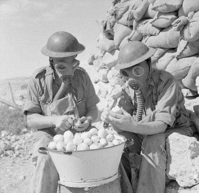 Приколы про лук Приколы про лук