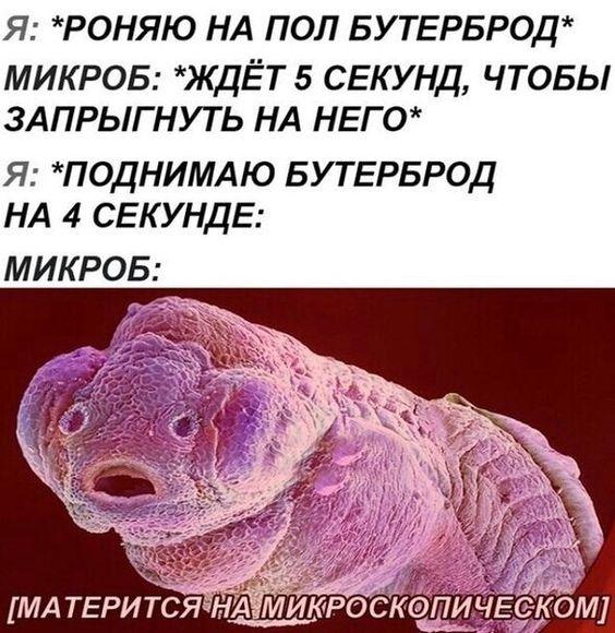 Веселые свежие картинки с надписями Веселые свежие картинки с надписями