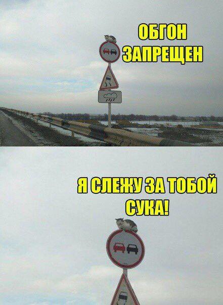 Веселые свежие картинки с надписями Веселые свежие картинки с надписями